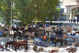 Cartoneros denuncian que el Estado porteño “intenta destruir el reciclado”
