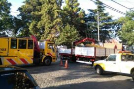 La Comuna empezó los trabajos en el Corralón de Floresta