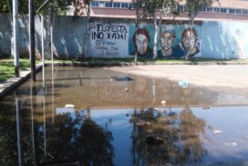 Peligro de dengue en Floresta: agua estancada en la Plaza de la Victoria