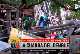 Siete casos de dengue en una sola cuadra del barrio de Monte Castro