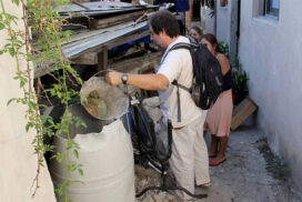 Más de 1.000 casos de dengue en la Ciudad: más de 700 son autóctonos