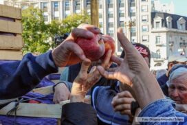 24-manzana