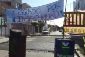 14-flores