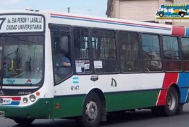 15-colectivo
