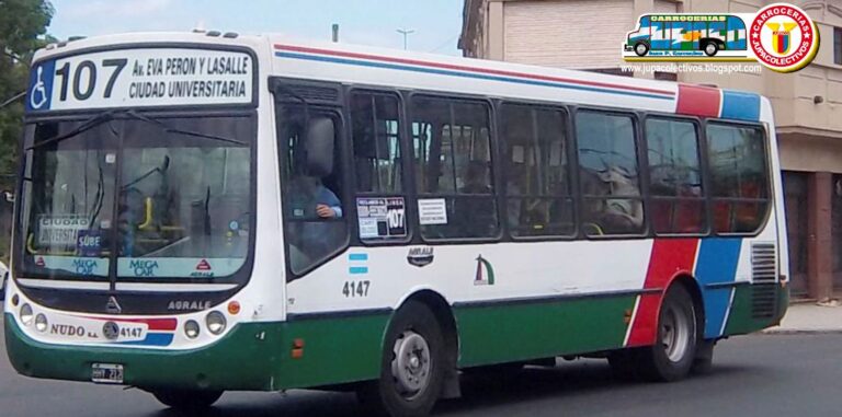15-colectivo