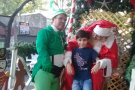 papa noel en floresta