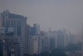 19-bsasniebla