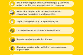 e FLYER_tres enfermedades 2016