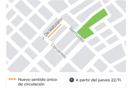 23-maturana