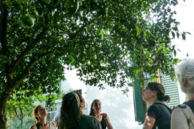 11-arboles