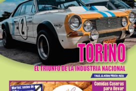 tapa373torinos