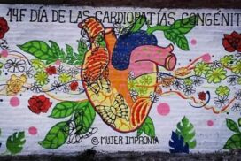 26-cardiomural