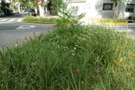 07-zonacalma
