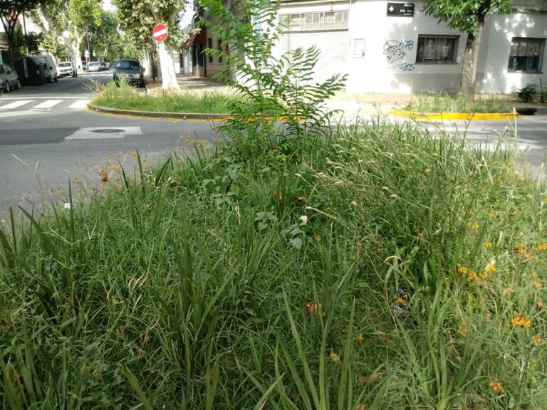 07-zonacalma