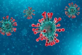 16-virus