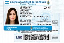 28-licencias