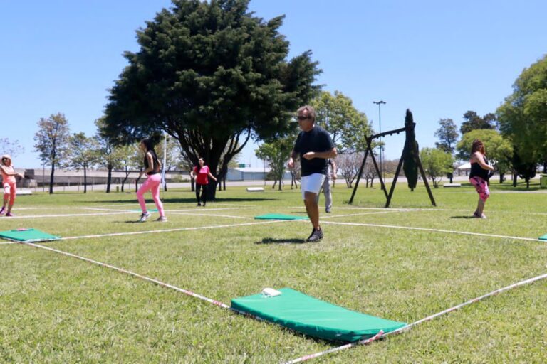 26-plazas activas