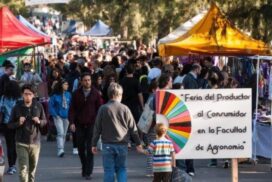 19-mangrullo feria