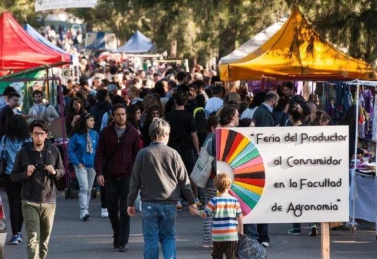 19-mangrullo feria