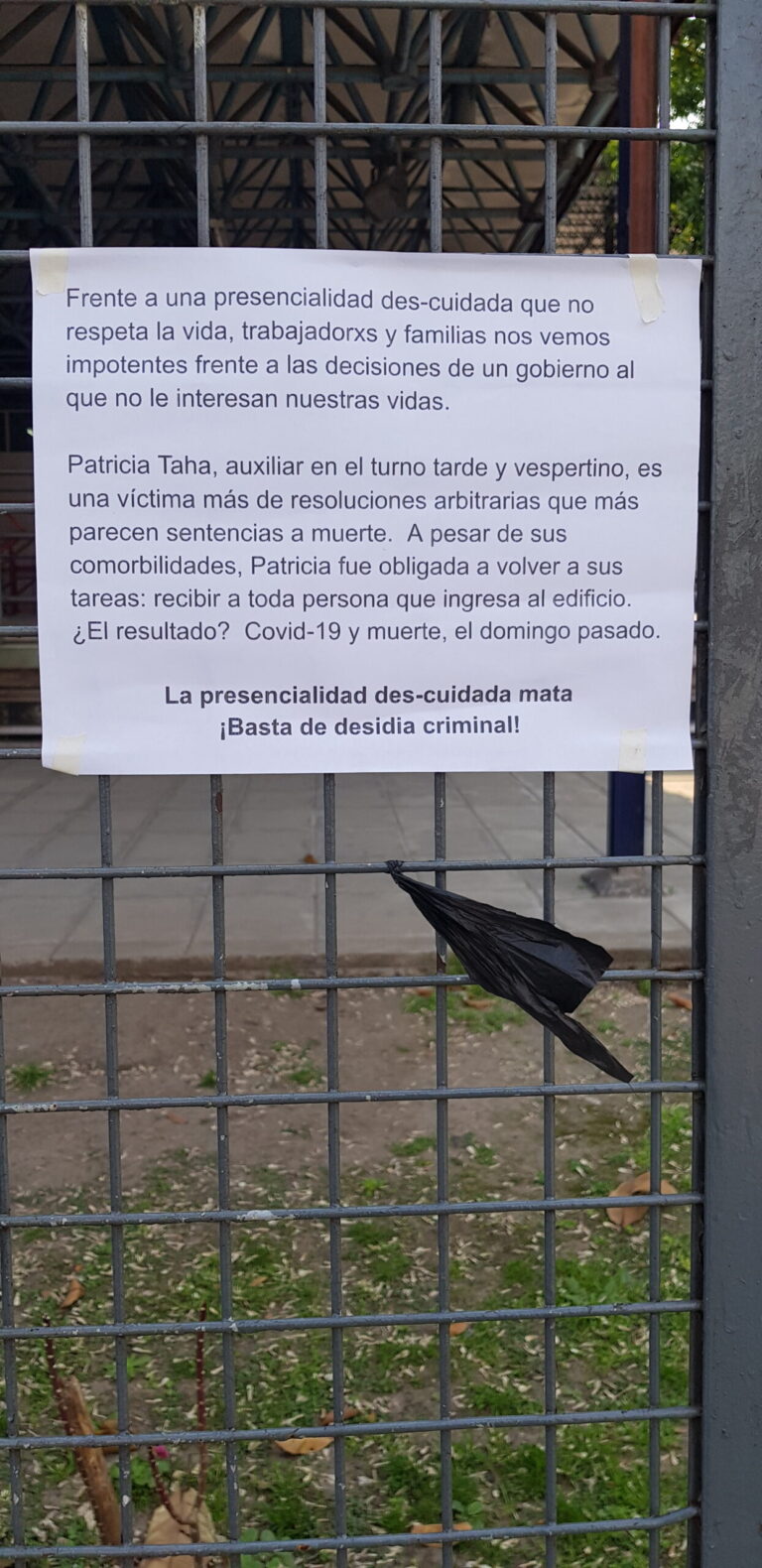 30-escuela