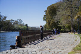 19-parque