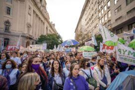 12-docentes2