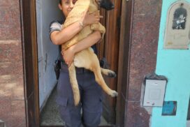 09-criadero