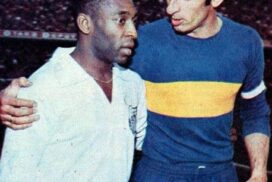 PELE