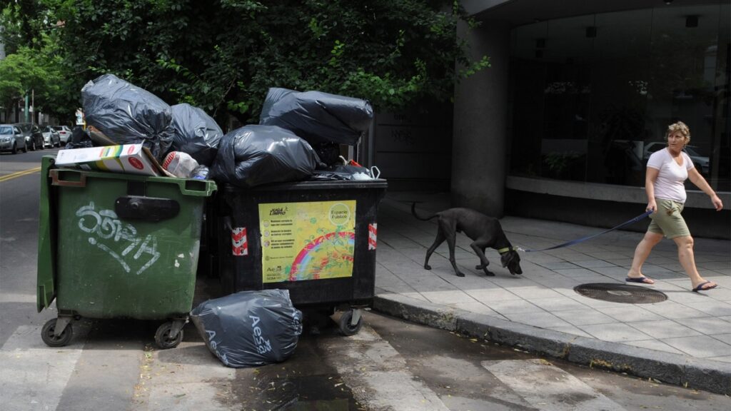 15-basura