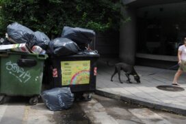 15-basura