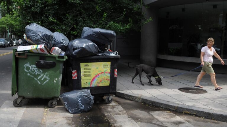 15-basura