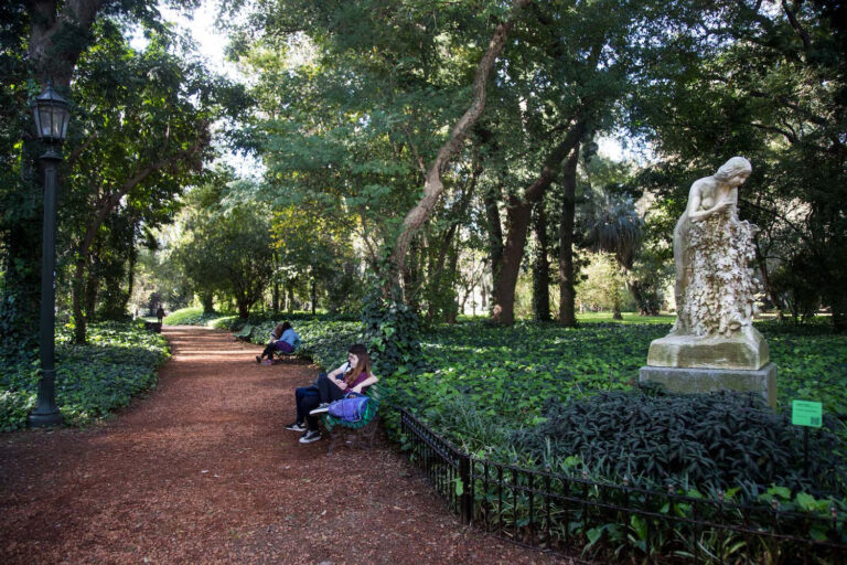 28-botanico