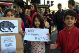 05-ratas