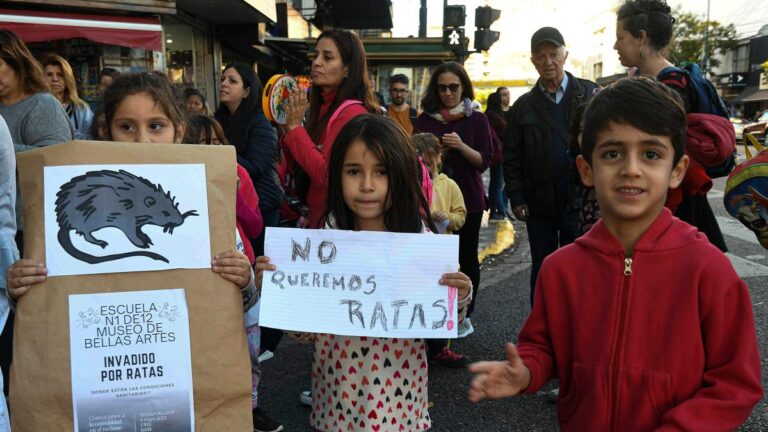 05-ratas