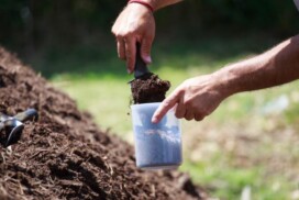 15-compost
