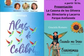 19-colibri