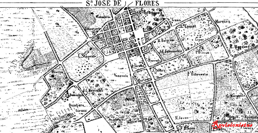31-flores plano