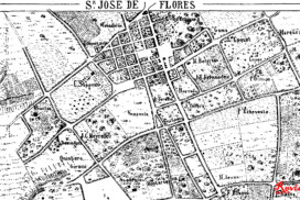 31-flores plano