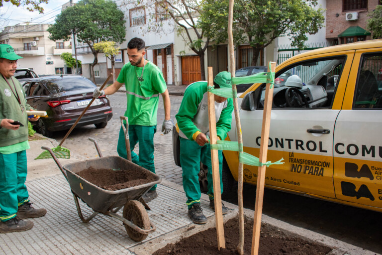 05-arboles2 (1)