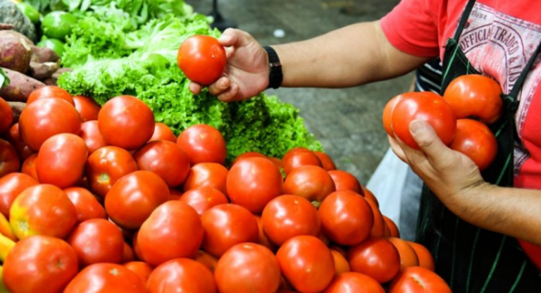 15-TOMATES