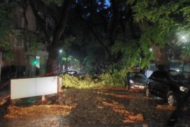 17-temporal