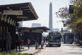 14-colectivos