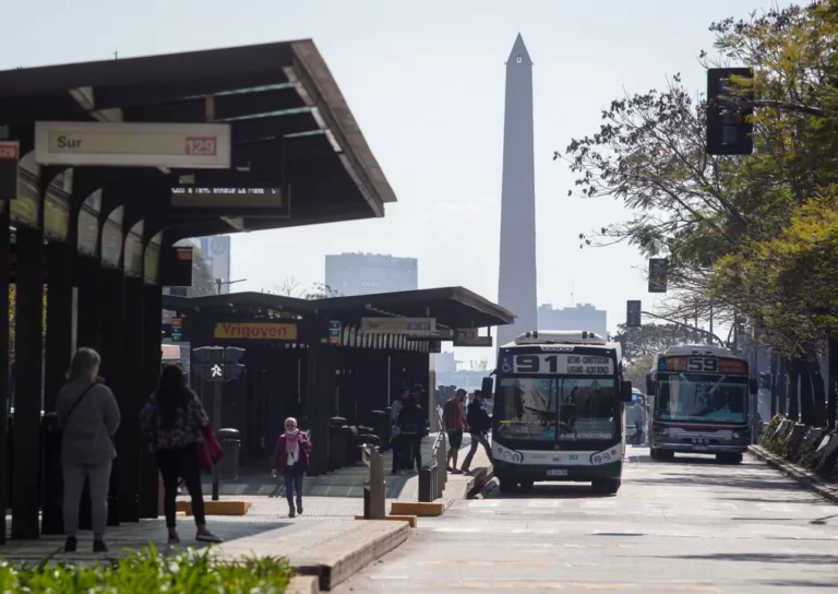 14-colectivos