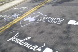 29-distrito vino