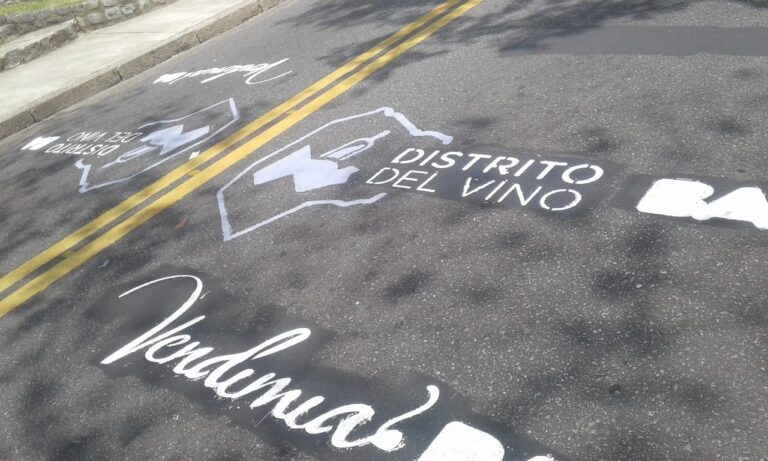 29-distrito vino