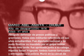 24-amaya