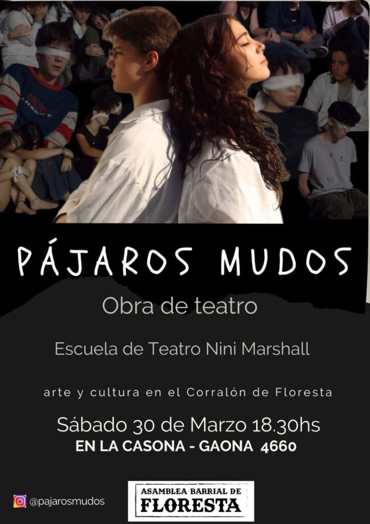 29-pajaros