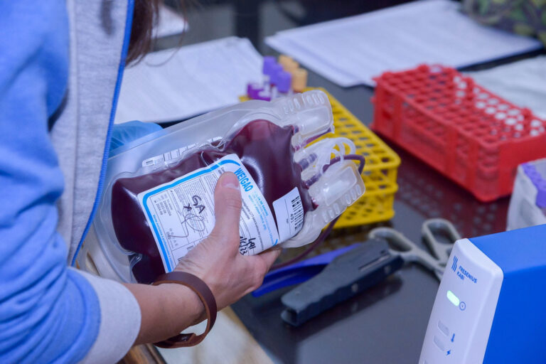 03-donacion sangre