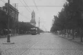 06-flores