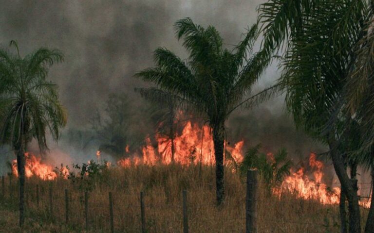 08-humo